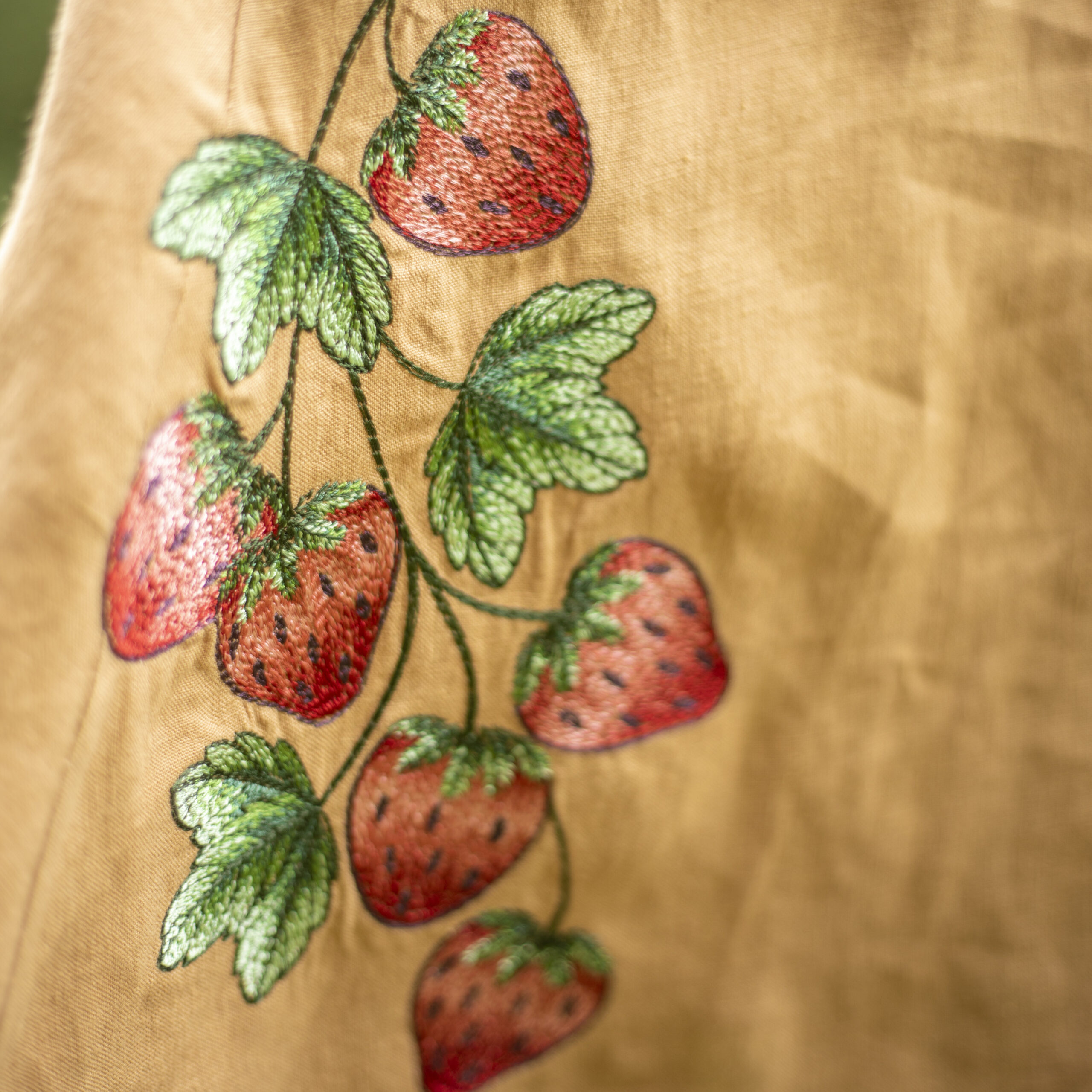 broderie fraises