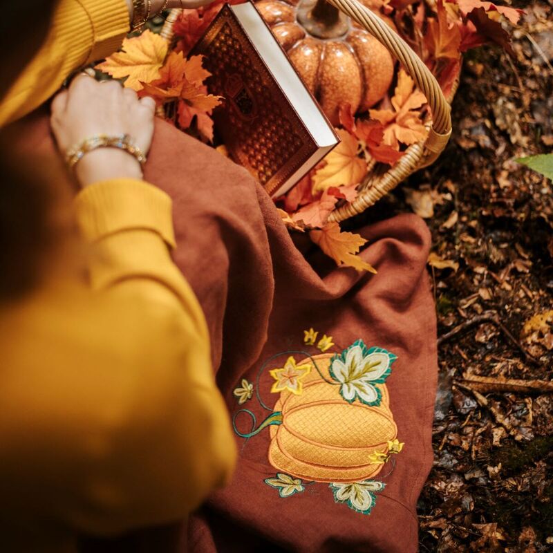 détail broderie citrouille