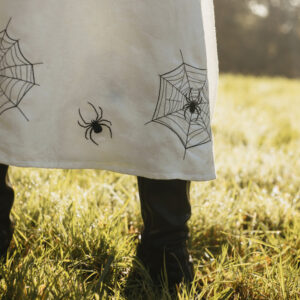 broderies toiles araignées